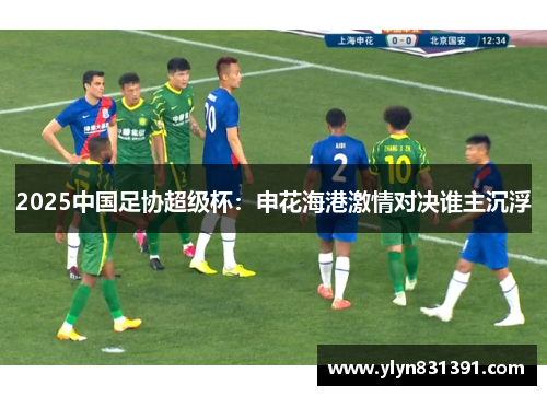 2025中国足协超级杯：申花海港激情对决谁主沉浮