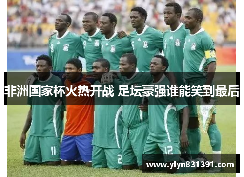 非洲国家杯火热开战 足坛豪强谁能笑到最后